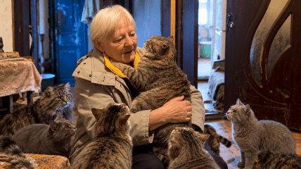 Женщина с котиками