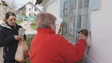 Под Харьковом из-за кота объявили карантин 