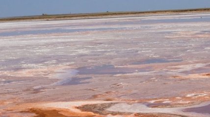 В заповеднике под Одессой высыхают знаменитые лиманы (Фото) 