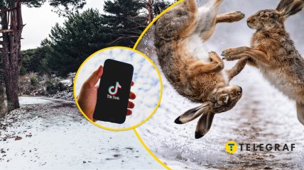 Забавный ролик набирает популярность