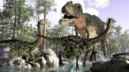 Ученые считают, что динозавры не рычали, а курлыкали или ворковали