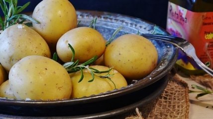 Чем опасна картошка: вредные вещества в картофеле