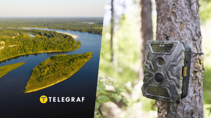 Цього гризуна виявили під час польових робіт