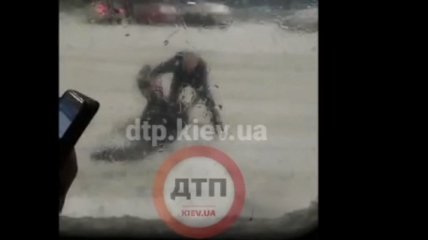 В Киеве маршрутчик проучил пассажира, который отказался платить за проезд (видео)