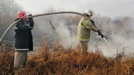 На Черниговщине спасатели тушат пожар на торфяниках