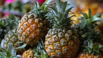 Интересные и удивительные факты об ананасах