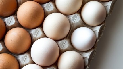 Що буде з вартістю курячих яєць