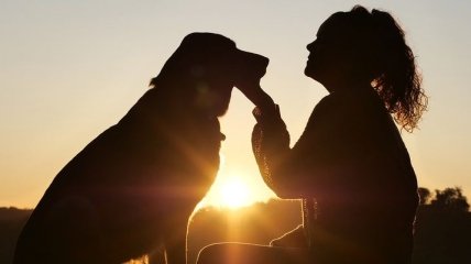 Четвероногие целители: как домашняя собака влияет на здоровье хозяина? 