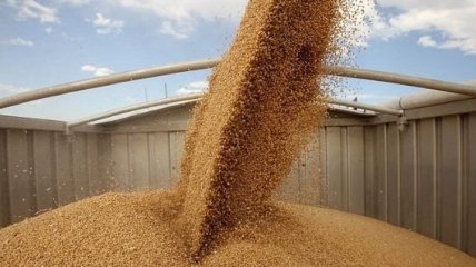 Урожай пшеницы в Украине в 2018 году: прогноз Минагропрода 