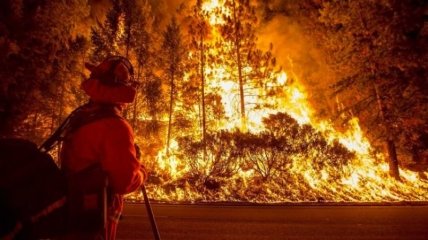 Власти Сардинии начали эвакуировать людей из-за лесных пожаров