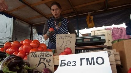 Научный центр по испытанию ГМО появится в Украине