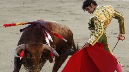 Матадор из Испании погиб от удара быка на фестивале во Франции