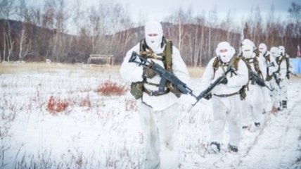 Донецкие полицейские проходят учения "в поле"