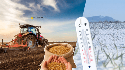 Посівна в Україні 2026