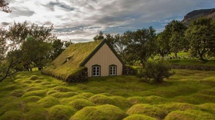 Сказочные скандинавские дома с зелеными крышами (Фото)