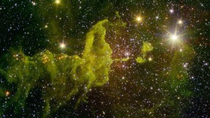 Астрофизики обнаружили в туманности "Паук" молодые звезды