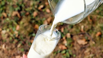 Молоко – базовый продукт питания