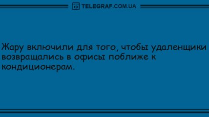 День точно не пройдет даром: уморительные анекдоты для хорошего настроения