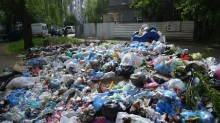 Европа разрабатывает проект мусороперерабатывающего завода для Прикарпатья 