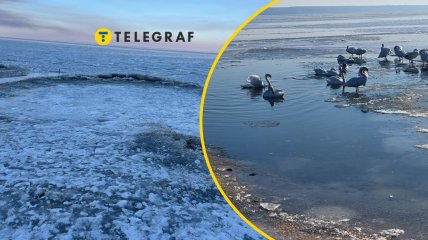 Водоем невероятно смотрится зимой