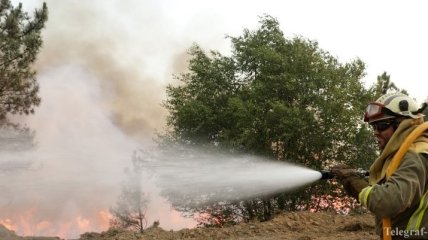 Лесные пожары в Португалии взяты под контроль