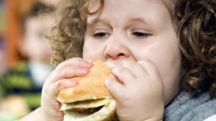 Начальная школа вызывает у детей ожирение