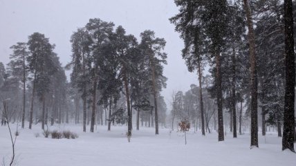 Киевский парк Партизанской славы ожидает капитальный ремонт