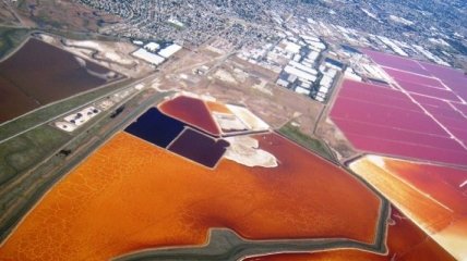 Цветные соляные пруды в заливе Сан-Франциско (Фото)