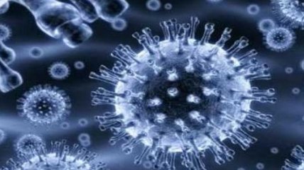 Ученые США обнаружили новый энтеровирус 