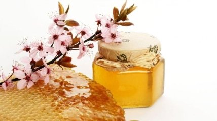 Лечение медом: новые свойства известного продукта