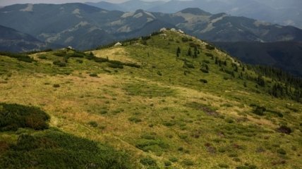 На Закарпатье расширят национальные парки 