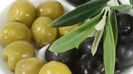 Музей оливкового масла появился в Греции