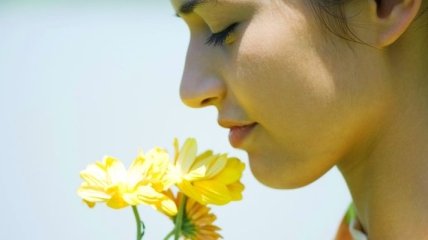 Как боль влияет на восприятие запахов?