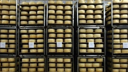 На Харьковщине обнаружен подпольный цех по производству сыра