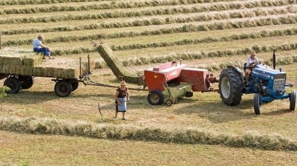 Когда и как отмечают в Украине День работников сельского хозяйства 2020