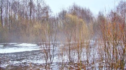 Погода в Украине 25 марта: на западе страны - без осадков