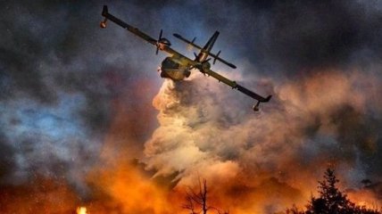 Площадь лесного пожара в Канаде стремительно растет
