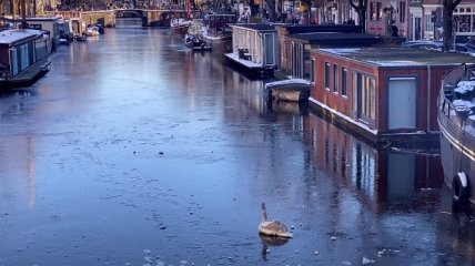 В Амстердаме от холода каналы превратились в каток: зимнее веселье попало на видео