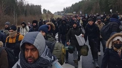 Иракские незаконные мигранты на границе Беларуси и Польши