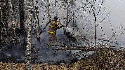 Чернобыльская зона и Житомирская область: спасатели продолжают тушить пожары