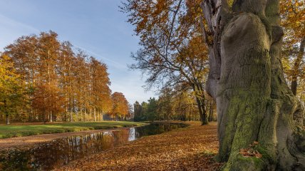 Какой сегодня праздник - Илларионов день