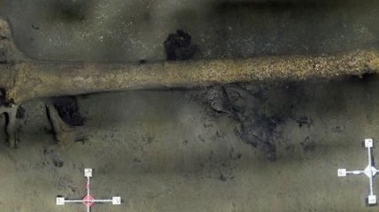 На дне моря ученые обнаружили уникальную находку