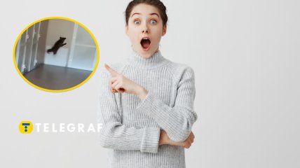 Животное перепугало людей