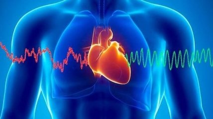 Шум разрушает здоровье сердца