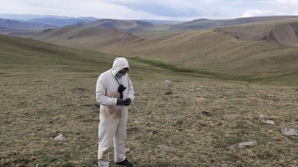 Бубонная чума: в Монголии скончался 15-летний подросток