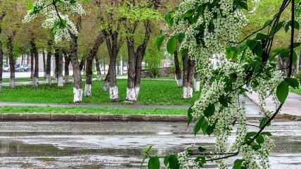 Погода в Украине: в понедельник похолодает и пройдут сильные дожди