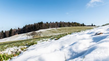 У цей день починає активно танути сніг