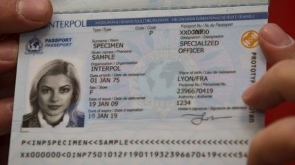 Закон о биометрических паспортах требует доработки 