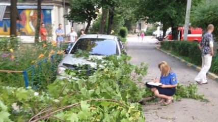 В Харькове на женщину с маленьким ребенком упало дерево
