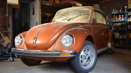 Volkwagen Beetle 1979 року